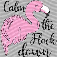 Animal Integration-DW 1628